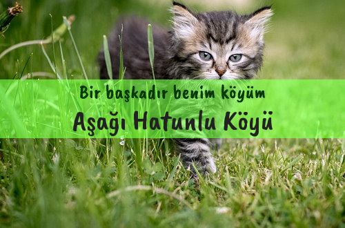 Aşağı Hatunlu Köyü